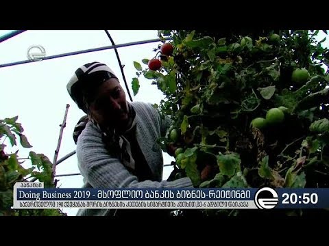 Doing Business 2019 - მსოფლიო ბანკის ბიზნეს-რეიტინგი