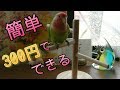 「100均材料で 簡単とまり木タワー」　文鳥&コザクラインコ