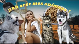 24H AVEC MES ANIMAUX ! (organisation, astuces, conseils...)