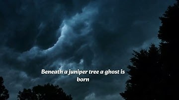 DJ Mayhem - juniper tree (Official Lyric Video)