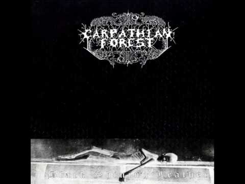 Carpathian Forest - In Silence I Observe