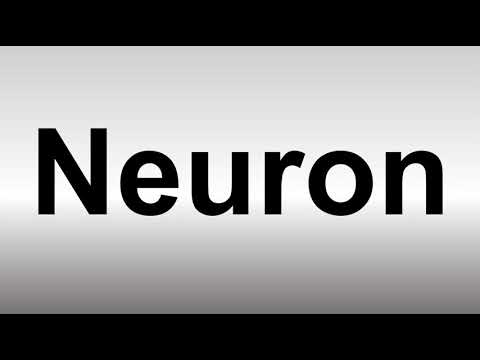 How to Pronounce Neuron