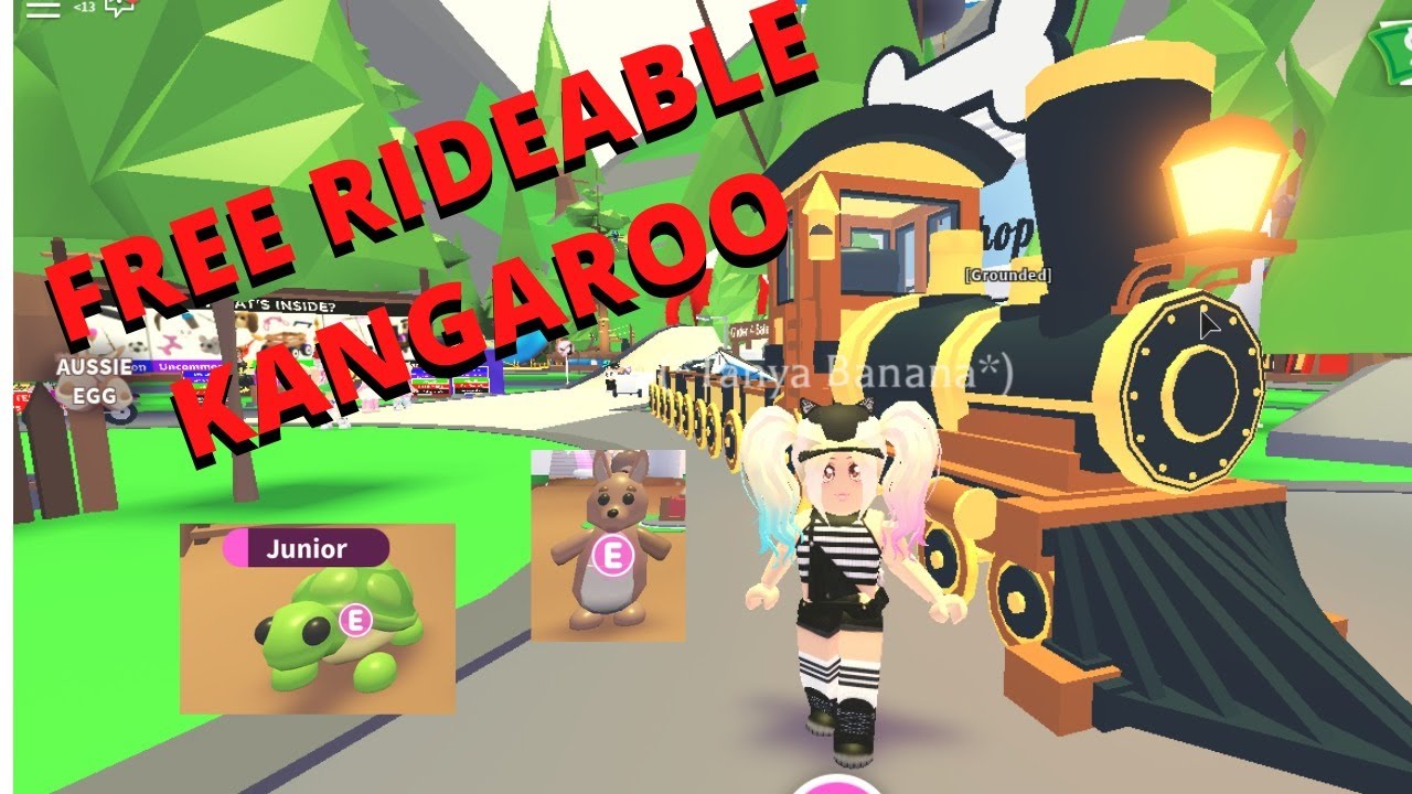 How To Get Legendary Kangaroo For Free Trade Adopt Me Roblox - free aussie eggs at 425 subs free pets adopt me roblox youtube