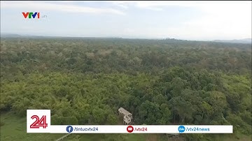 Khám phá rừng quốc gia Nam Cát Tiên | VTV24