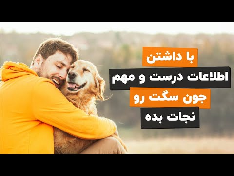 تصویری: چگونه بیماری قلبی را در سگها و گربه ها تشخیص دهیم