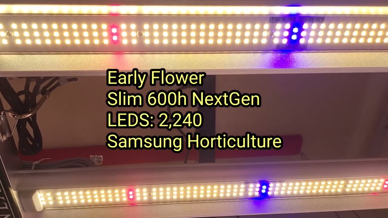 New Slim 600H NextGen LED grow - 4 Plants on Drip system