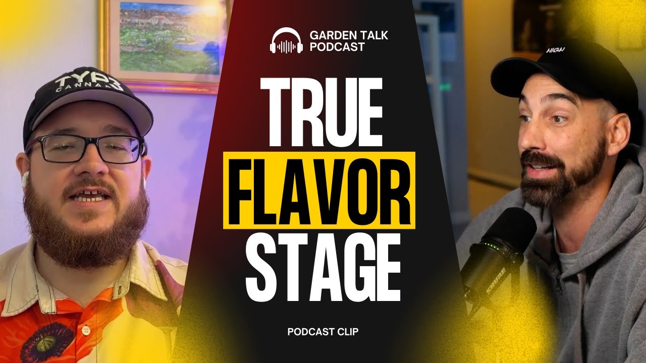 Когда у растений действительно проявляются вкус и обоняние?