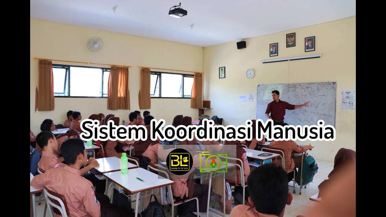 Materi Biologi Kelas Xi Sistem Koordinasi Manusia Youtube