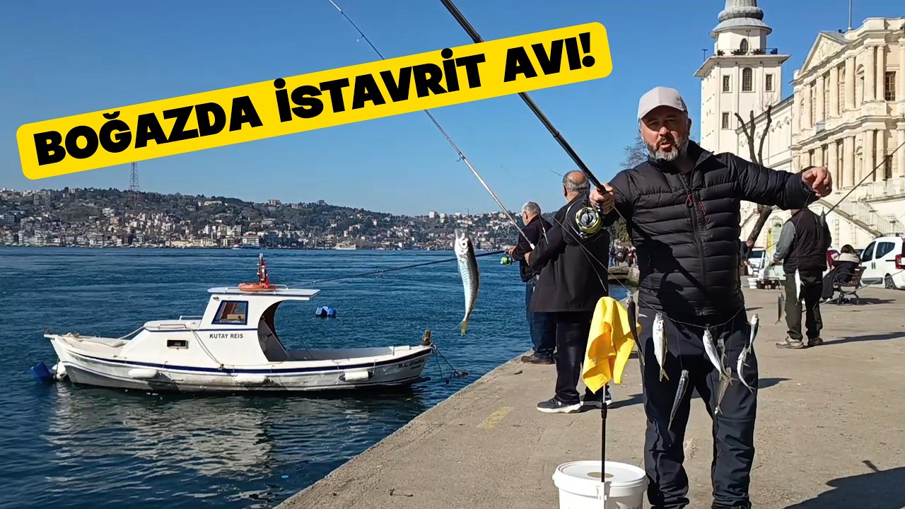 BOĞAZDA İSTAVRİT AVI / ÇAPARİ İLE İSTAVRİT AVI 🎣 BOSPHORUS FISHING 🌊