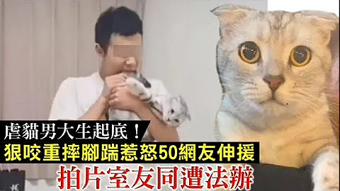 虐猫男大生起底！狠咬重摔脚踹惹怒50网友伸援　拍片室友同遭法办| 台湾 苹果新闻网 - 天天要闻