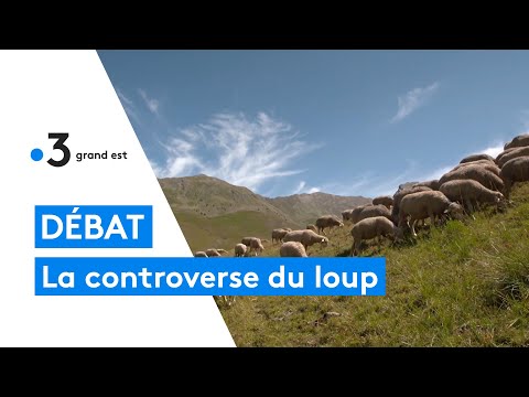 Débadoc : comment