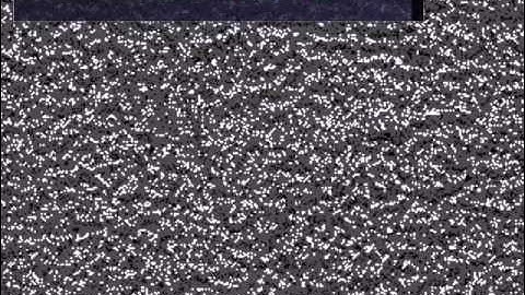 DigiCortex Artificial Brain Simulation - Upcoming (v0.96) Retina Module