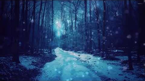 تلاوه رائعه جدا من (سورة الانبياء) للقارئ اسلام صبحي 💛