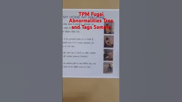 TPM Fugai Abnormalities Tree and Tags | Jishu Hozen