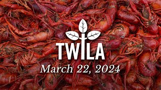 TWILA—March 22, 2024