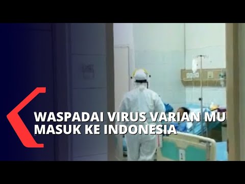 Video: Nenek Terima Kasih Pekerja Penjaga Kesihatan Yang Membantunya Mengalahkan COVID-19 Dengan 800 Tamales Buatan Sendiri