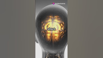 Why Do We Experience Déjà Vu ? 🤔 #dejavu #interestingfacts #psychology