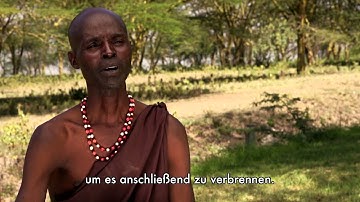 Lavazza Calendar 2015 - The Earth Defenders - Our Roots DE