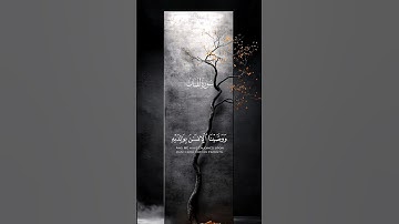 القران الكريم #القرآن_الكريم #اكسبلور #الرحمن #المصحف #سورةمريم #راحة_نفسية