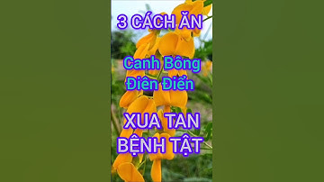 3 Cách Ăn Bông Điên Điển Xua Tan Bệnh Tật #dinhduong #health #suckhoe