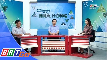 Chuyện nhà nông: Phòng trừ ruồi đục trái hại cây trồng | BRTgo
