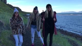 Blonde Rabbits in Iceland by CoffeeBeanss 384 views 6 years ago 4 minutes, 38 seconds