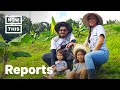 Farmers Are Creating A More Sustainable Food Supply System in Puerto Rico | Reports | NowThis