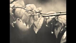 Tears in Heaven. Instrumental