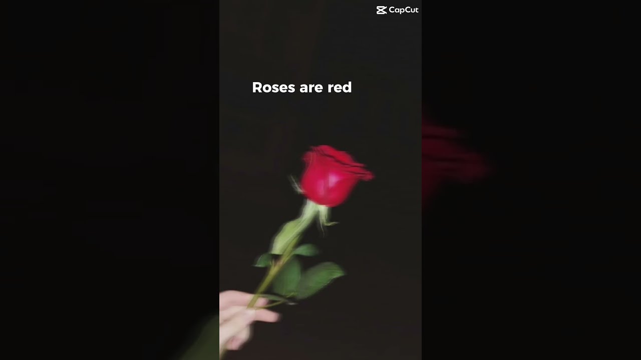 Send This To Your Best Friend