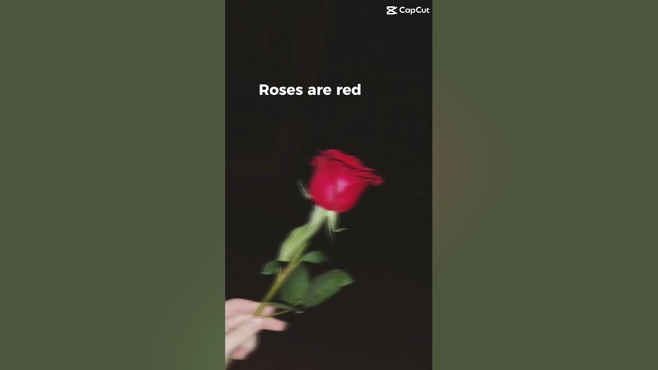 Send this to your best friend