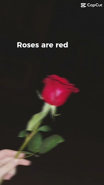 Send this to your best friend