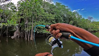 ikan penunggu akar pohon bakau bikin joran cenat cenut