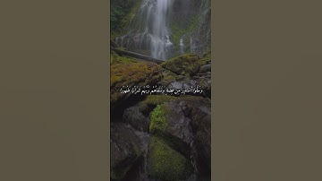 #القارئ ماهر المعيقلي #اذكرالله #اكسبلور #المصحف #دويتو #لايك #راحة_نفسية