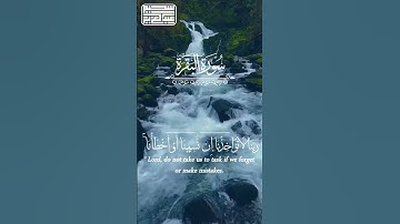 تلاوة تريح القلب من سورة البقرة   القارئ عبدالعزيز سحيم #اكسبلور   Copy