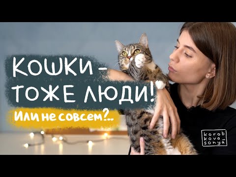 ПОЧЕМУ КОТ ССЫТ НА КРОВАТЬ? / Как понять свою кошку.