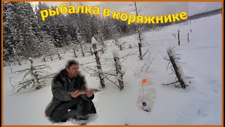 Рыбалка в КОРЯЖНИКЕ . Ловим ЩУКУ на ЖЕРЛИЦЫ. 2023 .г