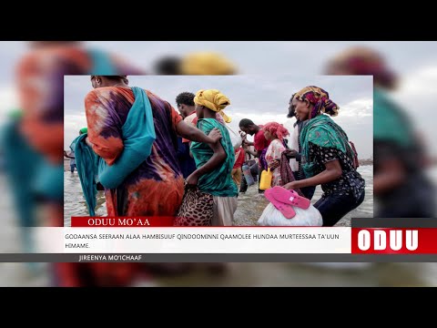 Oduu Jimaata Galgalaa Aug 22 2025 Finfinnee