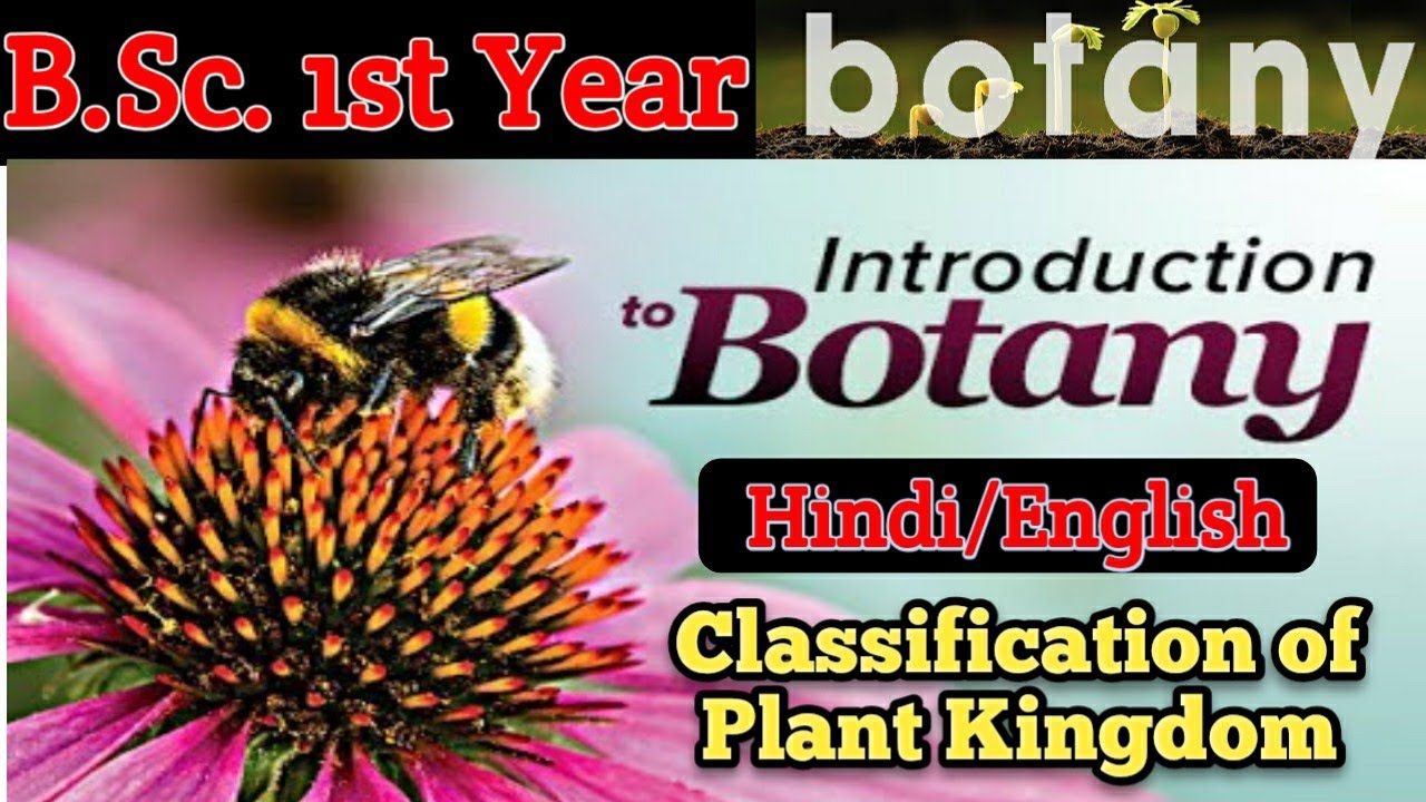 bsc first year botany assignment