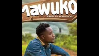 Jah Phinga MAWUKO prod by YOUNG OG