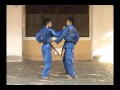 Kĩ thuật thực chiến của VOVINAM