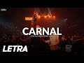 Carnal ✘ Peso Pluma x Natanael Cano | LETRA / LYRICS