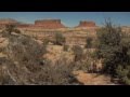 Pasta Jay In Moab 