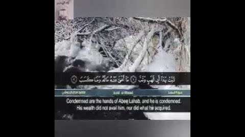 سورة المسد | القارئ هزاع البلوشي 💜