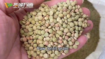 YTBD Series Lentil Peeling Machine