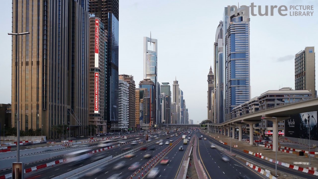 Timelapse of traffic on Sheikh Zayed Road, Dubai, United Arab Emirates, 2011.