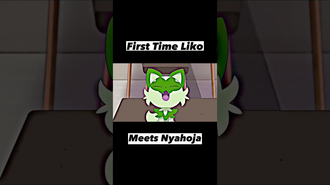 First Time Liko Meets Nyahoja 😸 !! 