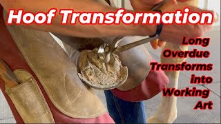 Amazing Results Turning Overdue Horse's Feet into Working Art
