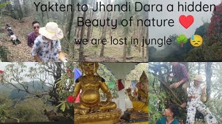 Jhandi Dara trakking vlogs in hidden beauty of nature 🌳.#new #travel#vlog #video @akashbhujel3317.