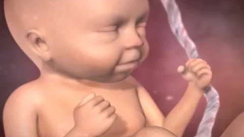 Inside pregnancy  weeks 21 27 video