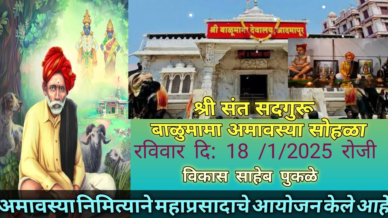 बाळूमामा अमावस्या सोहळा | balumama mandir वलवण #बाळूमामा 